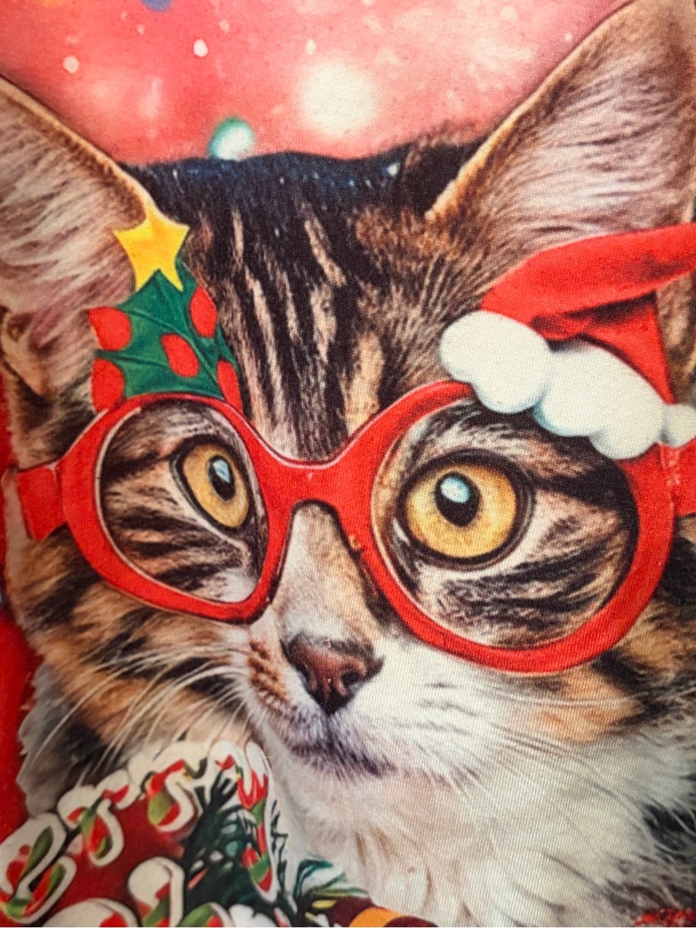 Funny Christmas Red Sweater/ Sweatshirt. Dog Sunglasses Cat Glasses. Unisex L - Picture 3 of 7